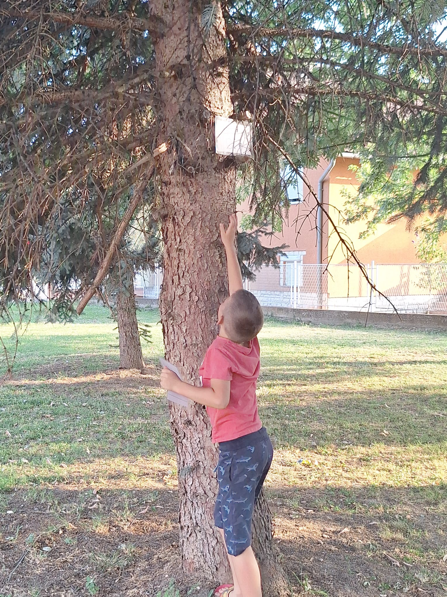 34a8f4f5-8586-4966-baf1-3e5de10d762e