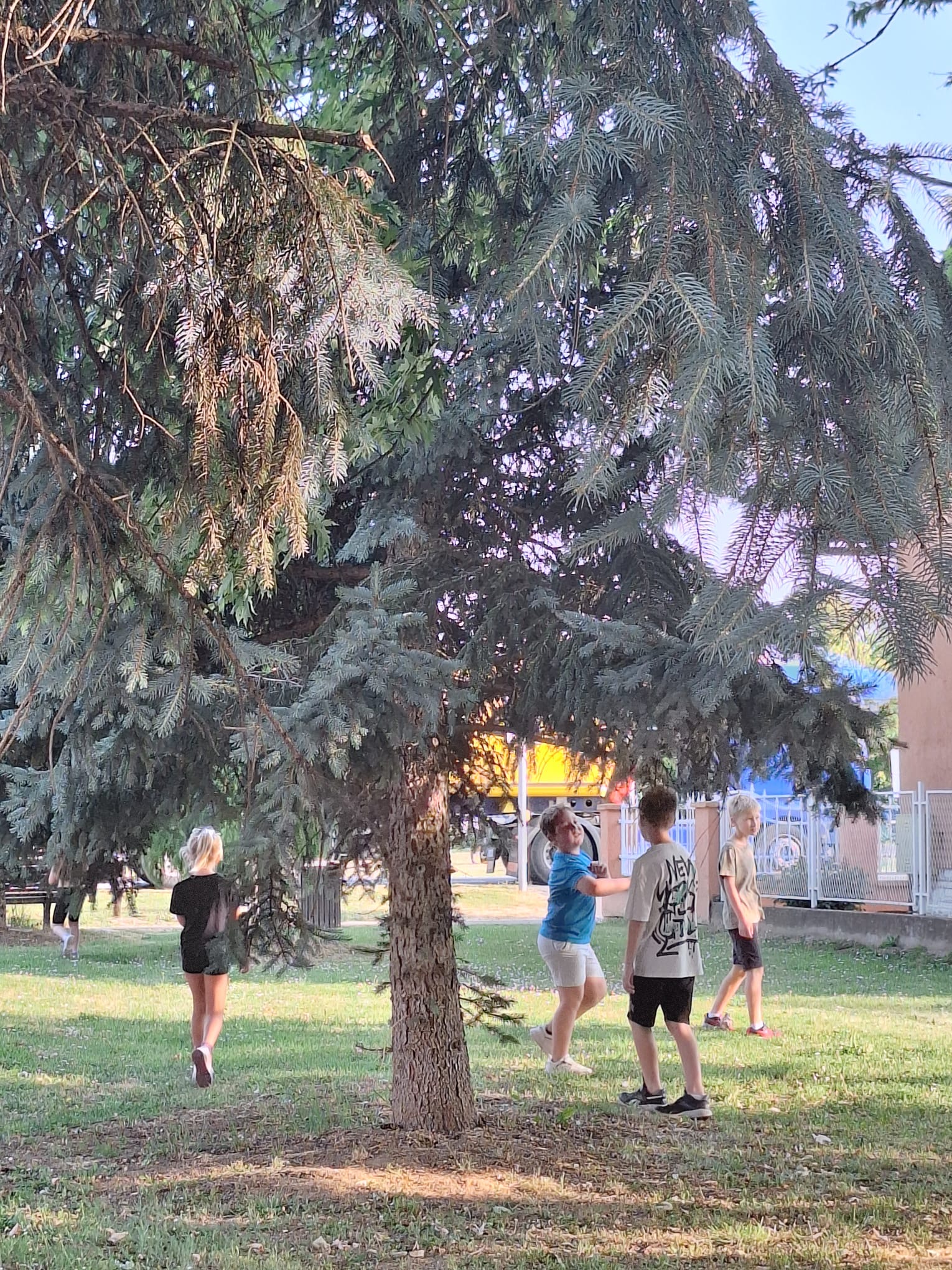 36de660d-f6c3-4c91-b47e-98af705c7a9a