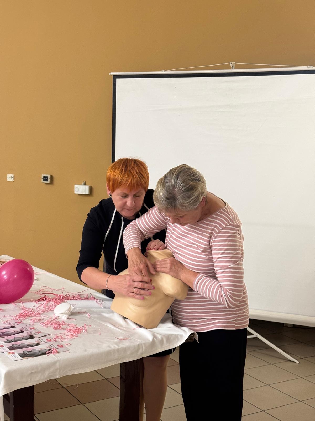 Snaga ružičaste radionica