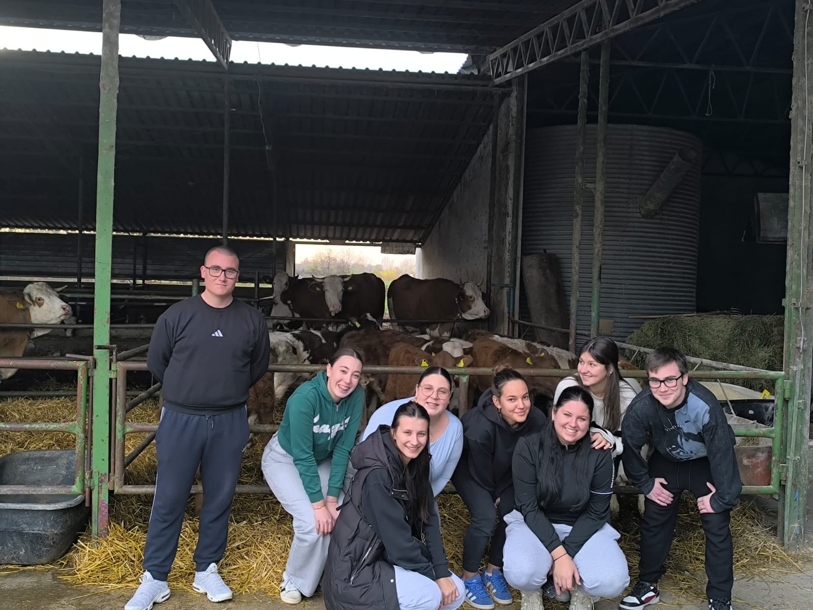 Posjet farmi krava – Mladi za mlade