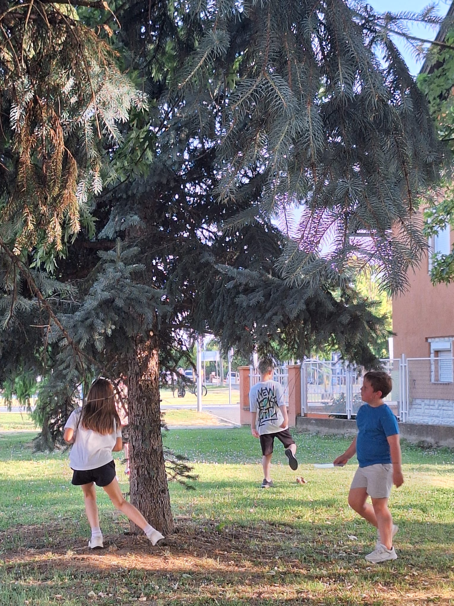 f82da676-facf-4b28-a361-06b8b163d5c1